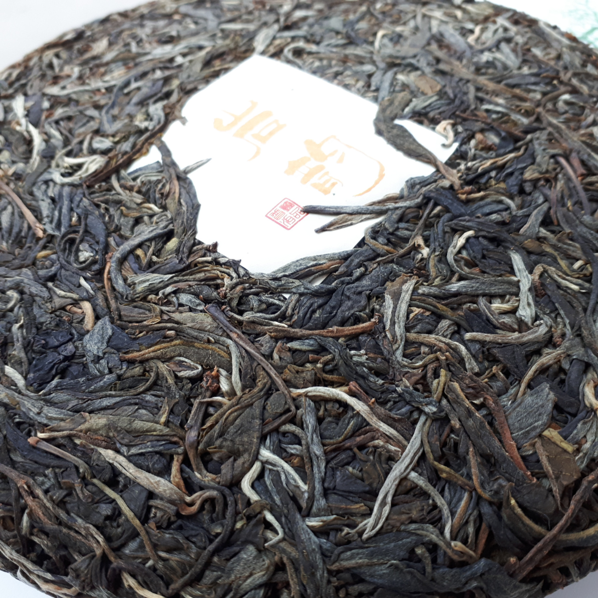 2022 Da Man Gang Wild Tree (Sheng)