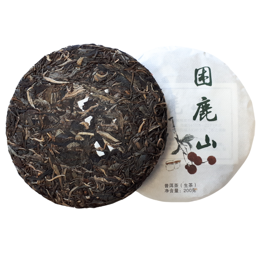 2023 Kun Lu Wild Tree Pu Er Tea