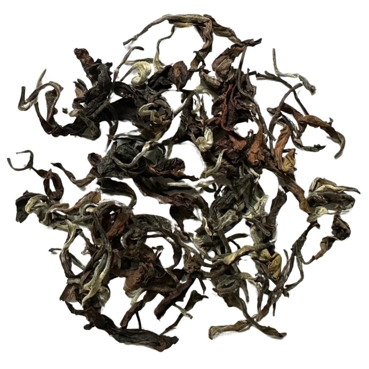 Darjeeling Rohini 1st flush