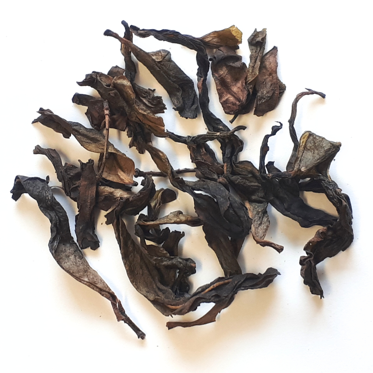 Flowery Old Tree Dan Cong