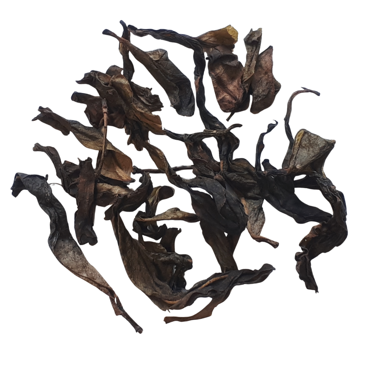 Flowery Old Tree Dan Cong