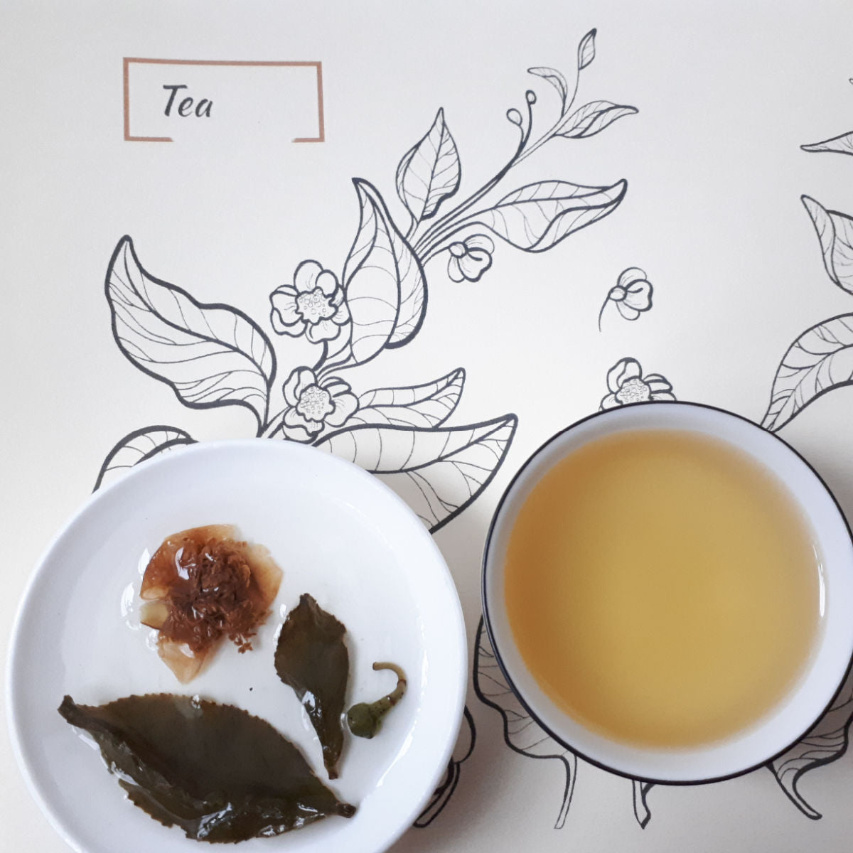 Camellia Wulong (tea seed and blossom)