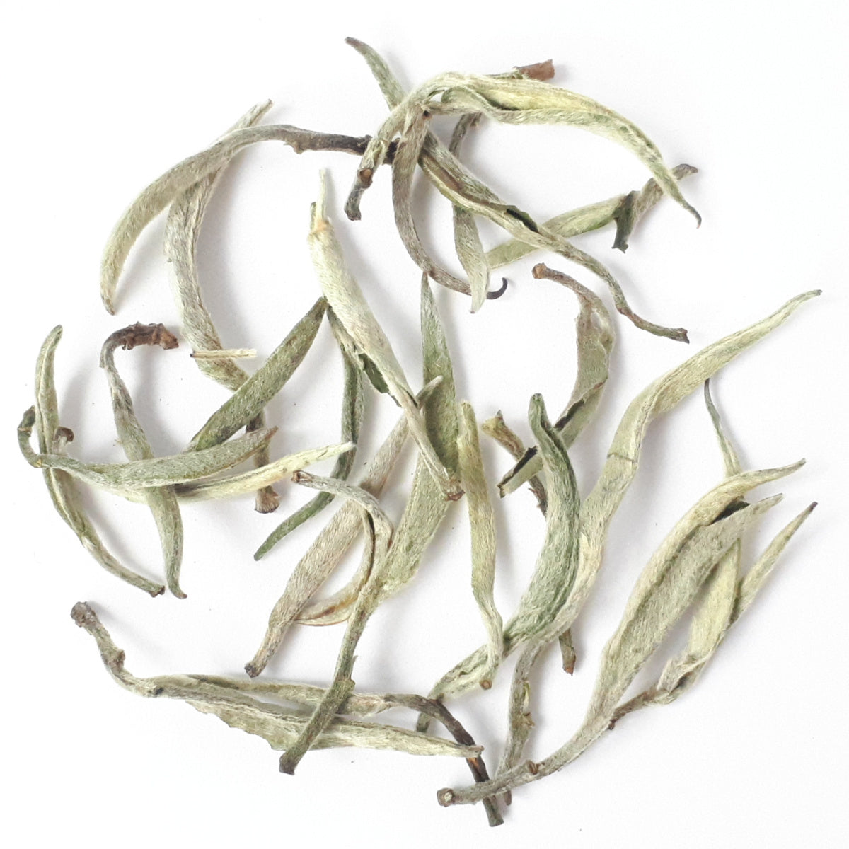 Bai Hao Yin Zhen (Yunnan) 2022