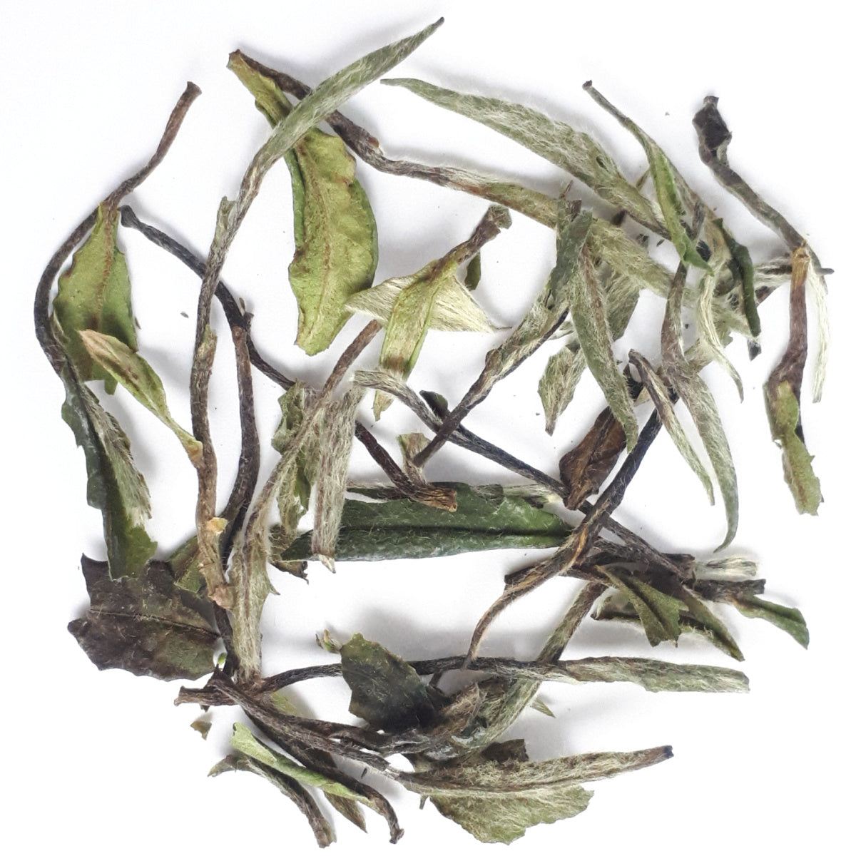 Bai Mu Dan
