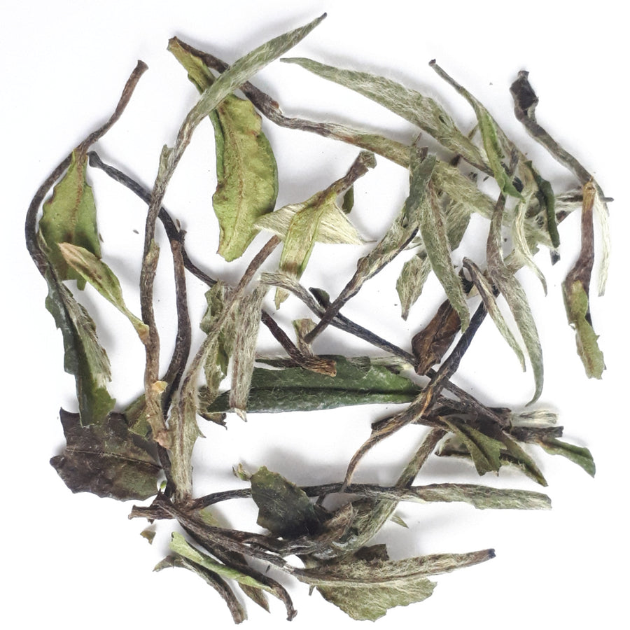 Bai Mu Dan