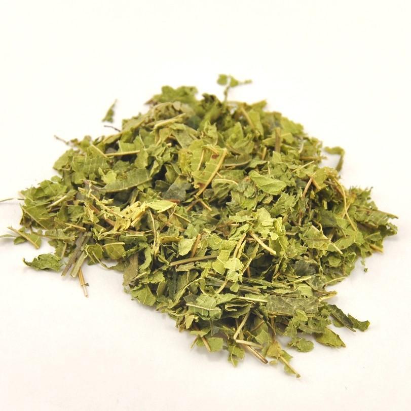 Lemon Verbena