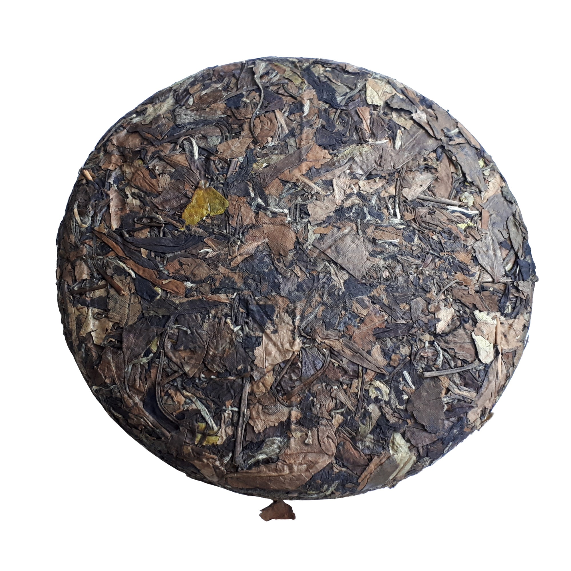 Shou Mei 2014 (Aged White Tea )
