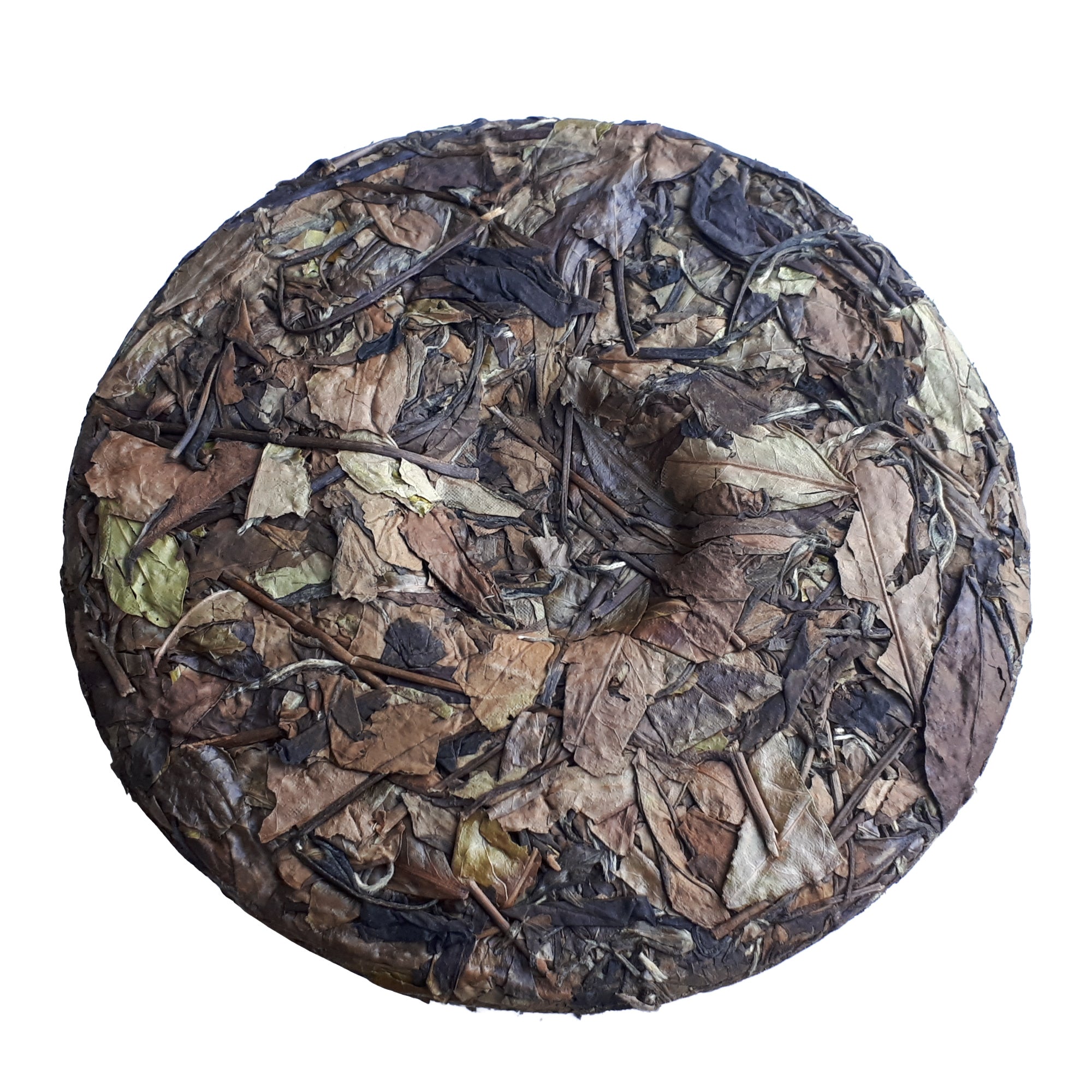 Shou Mei 2014 (Aged White Tea ) back