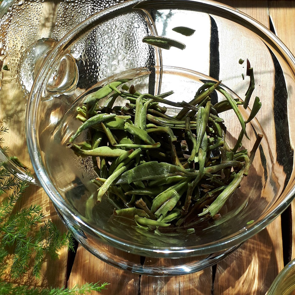 Infused Silver Needle