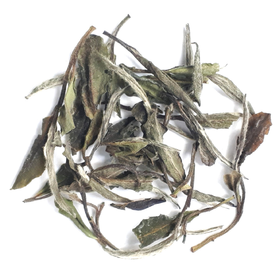 Bai Mu Dan (White Peony) white tea