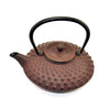 cast iron teapot