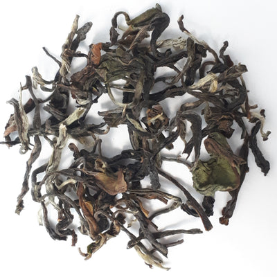 Darjeeling Rohini 1st flush