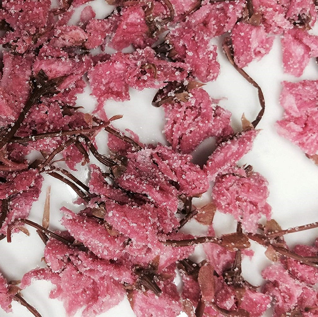 Sakura Cherry Blossom