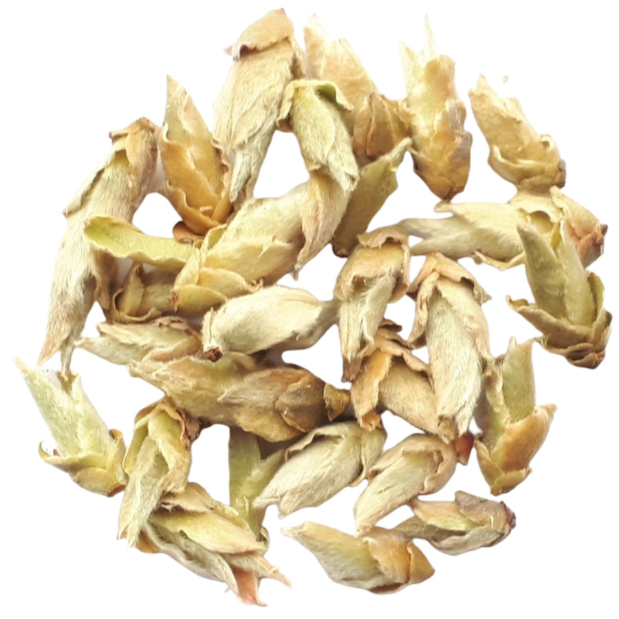 wild tree bud white tea
