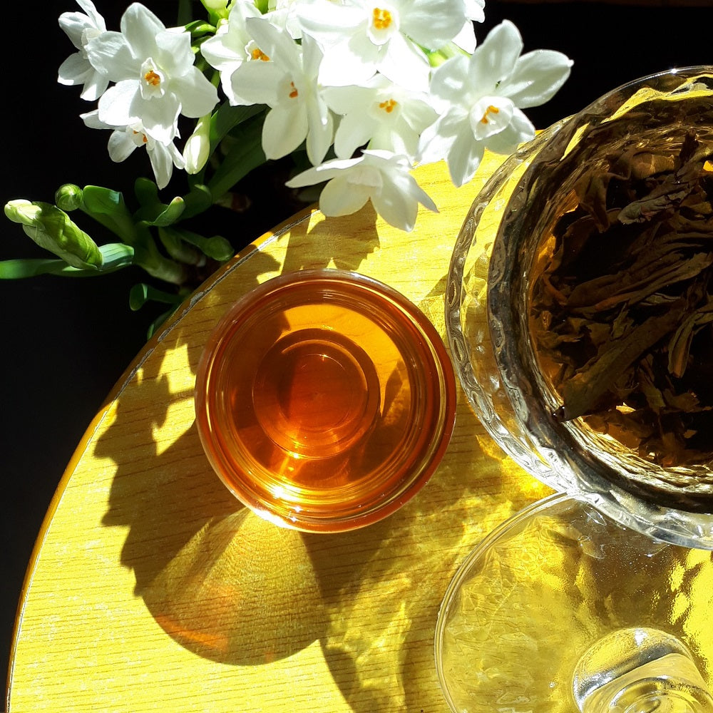 Shui Xian Lao Cong (daffodil old tree)