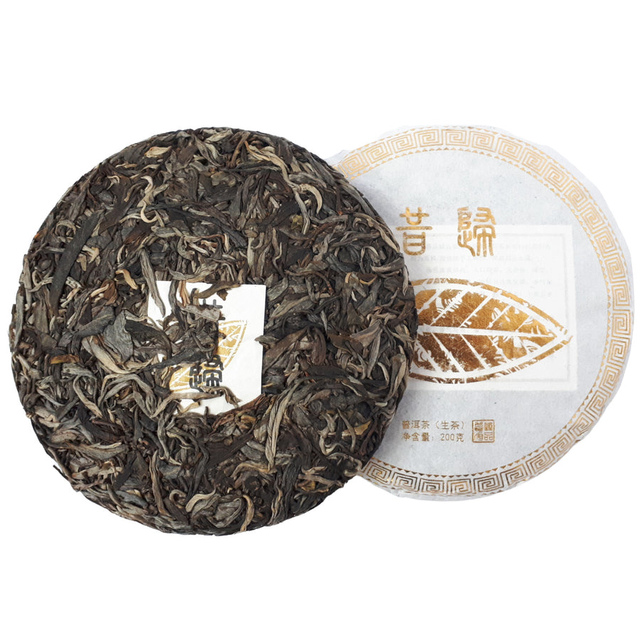 2021 Xi Gui Wild Tree Pu Er Tea